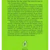 Historia de los profetas contraportada - libro infantil sobre las historias de los profetas en el Islam